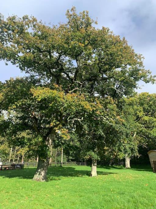 GraffhamAspen Leaves: The Perfect Farm Retreat别墅 外观 照片