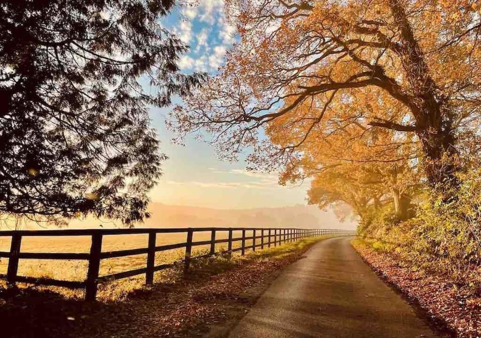 GraffhamAspen Leaves: The Perfect Farm Retreat别墅 外观 照片